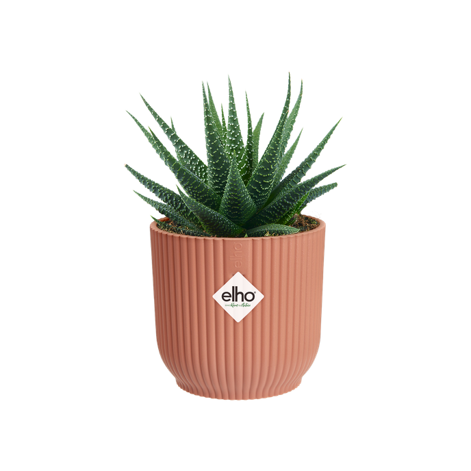 vibes fold rond mini 7cm rose poudré